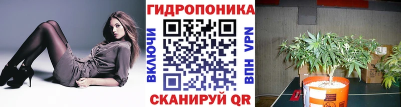 МАРИХУАНА Bruce Banner Новосокольники